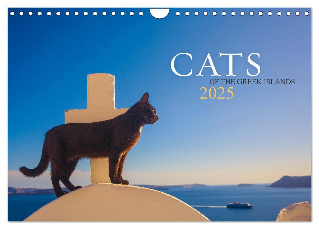 Cover: 9781325837526 | Cats of the Greek Islands (Wall Calendar 2025 DIN A4 landscape),...