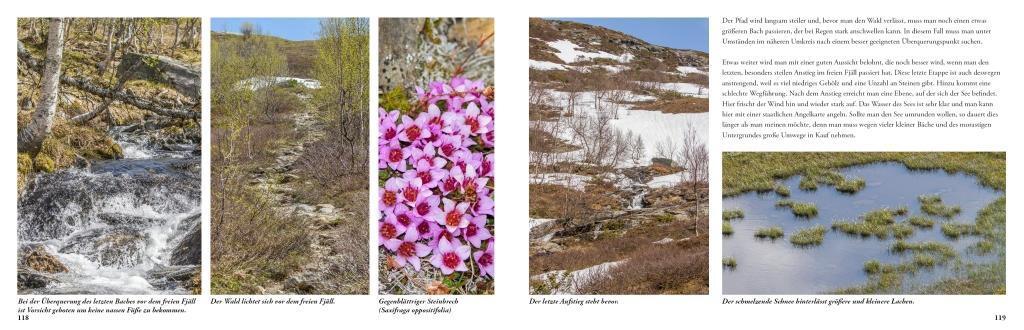 Bild: 9789198331004 | Lappland - Eine Reise in die letzte Wildnis Europas | Idelmann | Buch