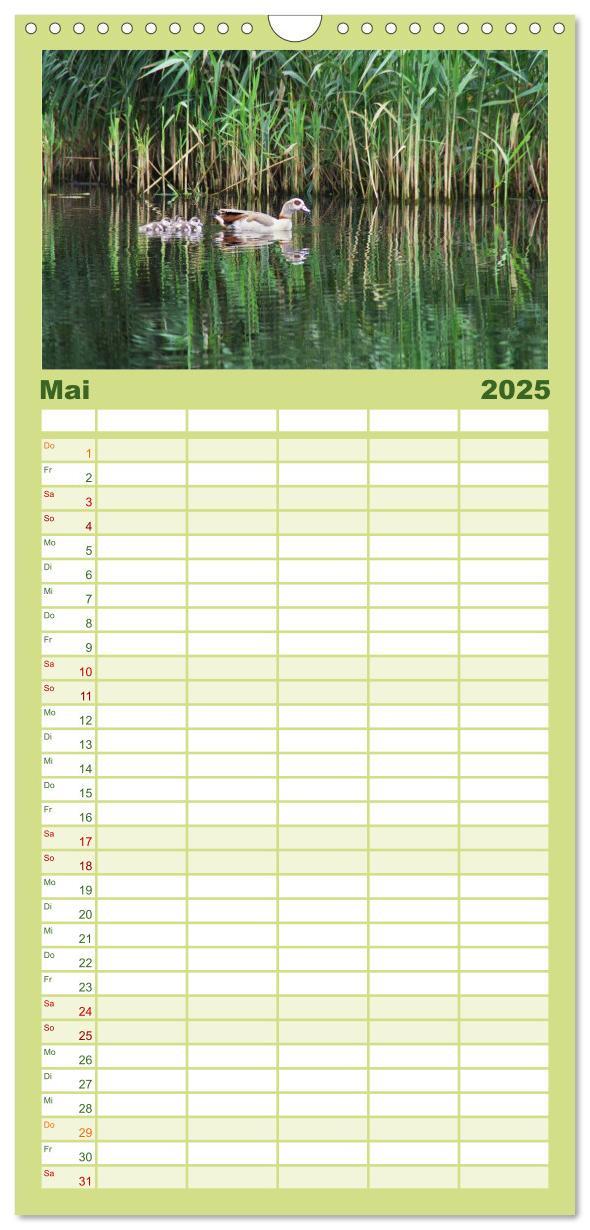 Bild: 9783457122150 | Familienplaner 2025 - Welt der Tiere mit 5 Spalten (Wandkalender,...