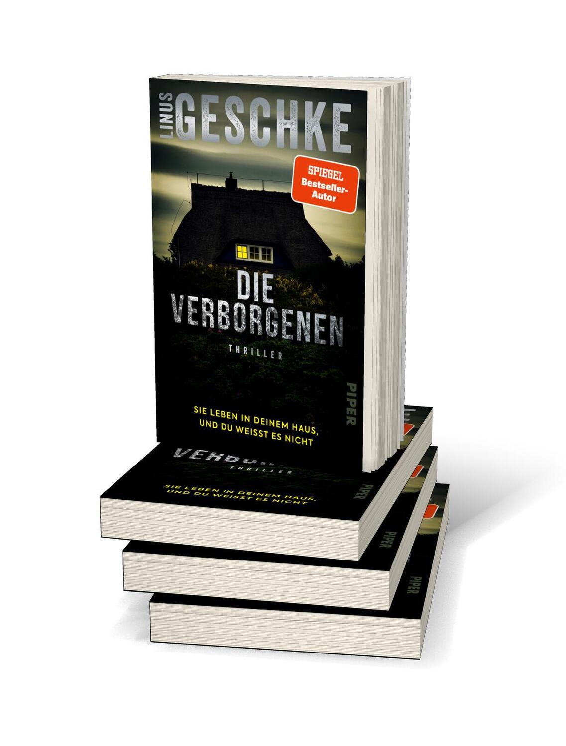 Bild: 9783492064798 | Die Verborgenen | Linus Geschke | Taschenbuch | 368 S. | Deutsch