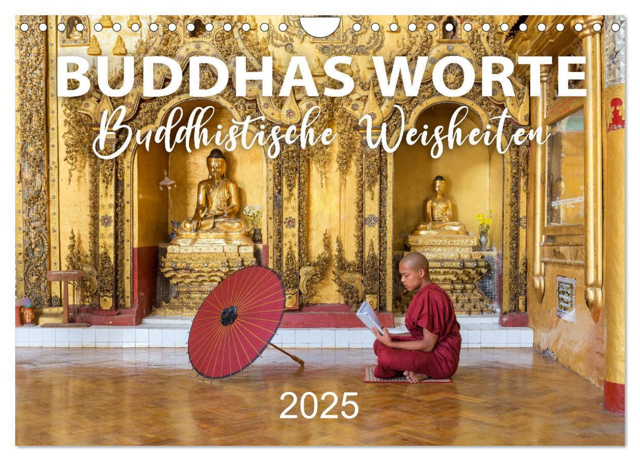 Cover: 9783435081745 | BUDDHAS WORTE - Buddhistische Weisheiten (Wandkalender 2025 DIN A4...