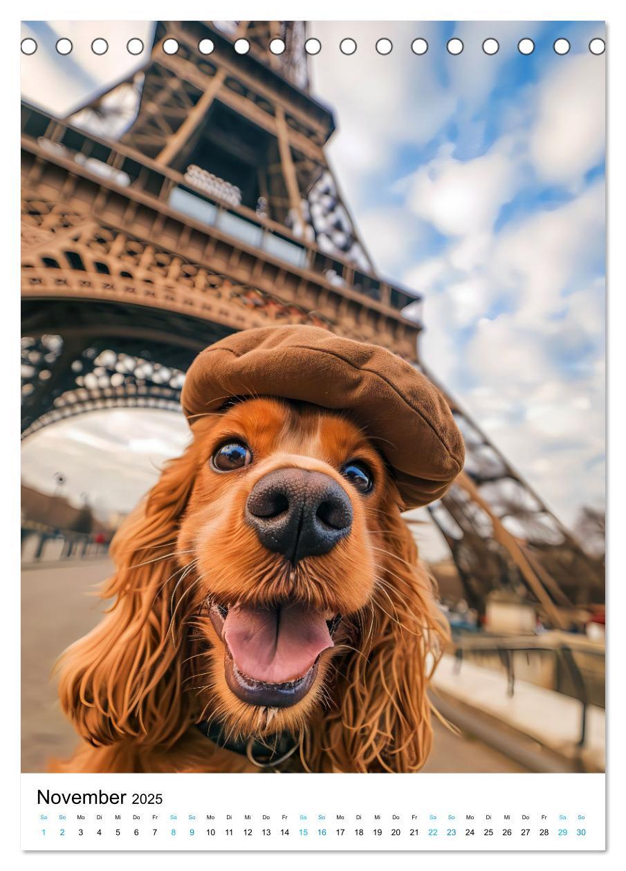 Bild: 9783383763489 | Cavalier King Charles Spaniel - Lustige Weltenreise im Selfie-Modus...