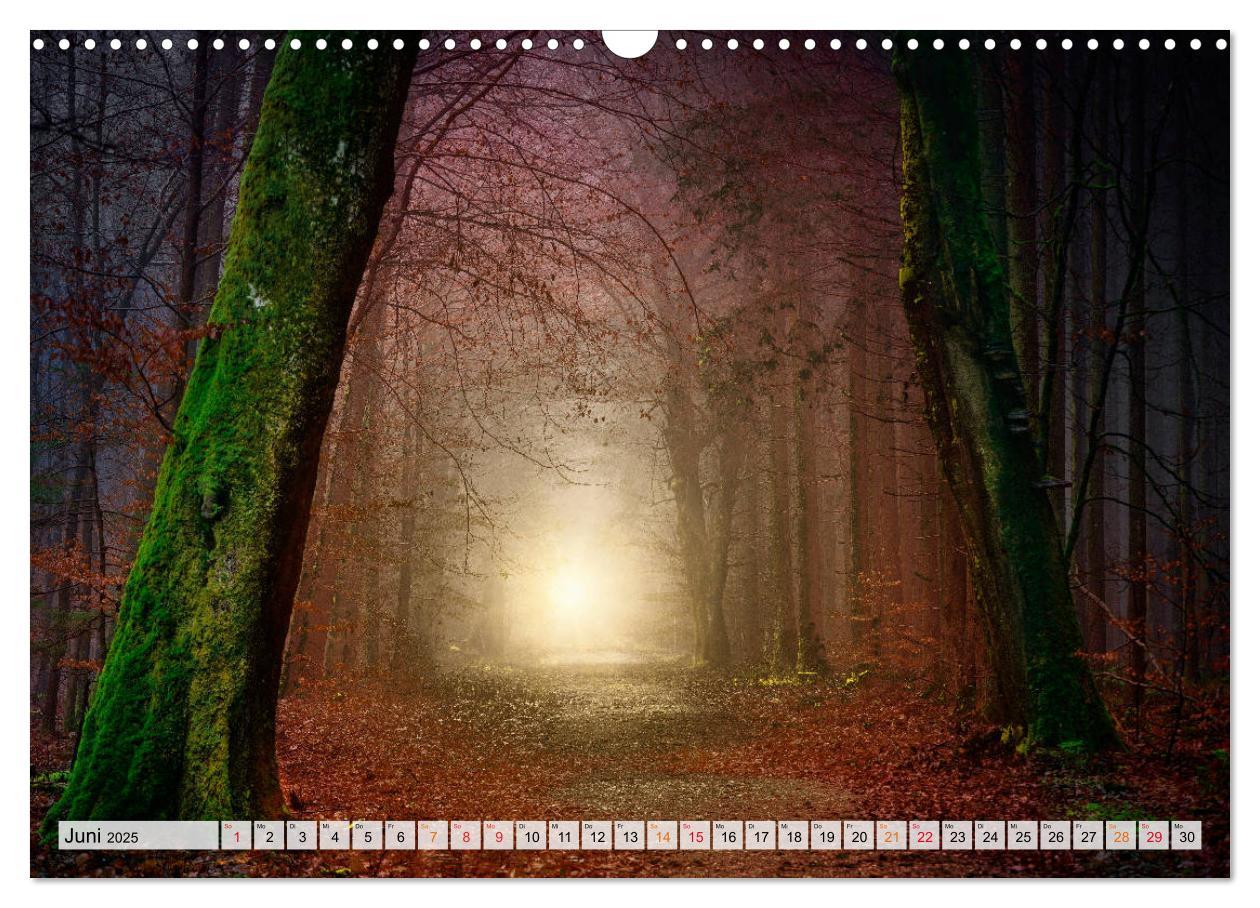 Bild: 9783435071623 | Wald - mystische Spaziergänge (Wandkalender 2025 DIN A3 quer),...