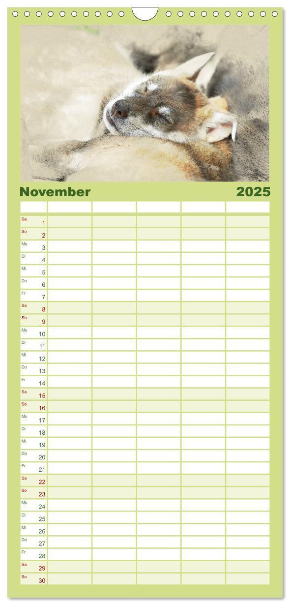 Bild: 9783457121177 | Familienplaner 2025 - Hundewelpen 2025 mit 5 Spalten (Wandkalender,...