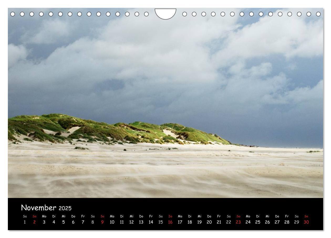 Bild: 9783435827671 | Amrum (Wandkalender 2025 DIN A4 quer), CALVENDO Monatskalender | 2025