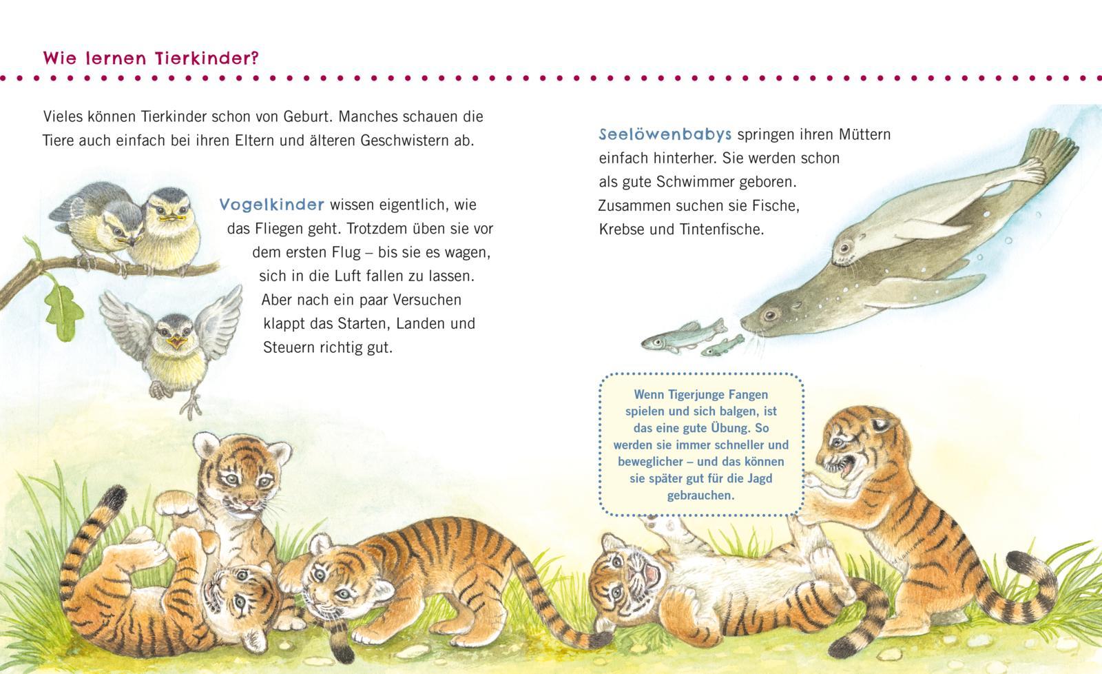 Bild: 9783551036056 | Unkaputtbar: Erstes Wissen: Tiere und ihre Kinder | Petra Klose | Buch