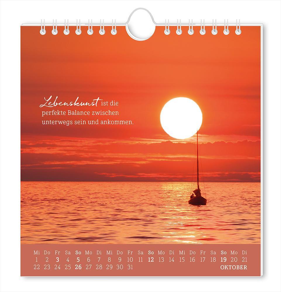 Bild: 9783986361167 | Postkartenkalender 2025 Strandgut | Postkartenkalender | Original