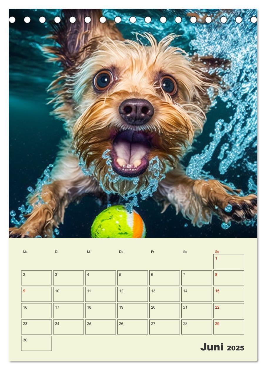 Bild: 9783435874705 | Yorkshire Terrier. Fröhliche Energiebündel in Aktion (Tischkalender...