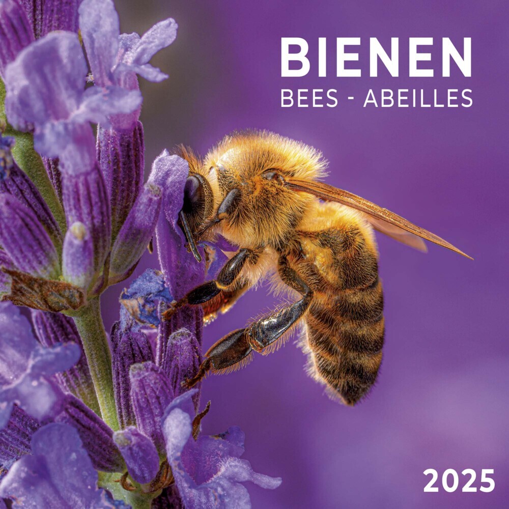 Cover: 9783959294751 | Bienen 2025 | Kalender 2025 | Kalender | Drahtheftung | 28 S. | 2025