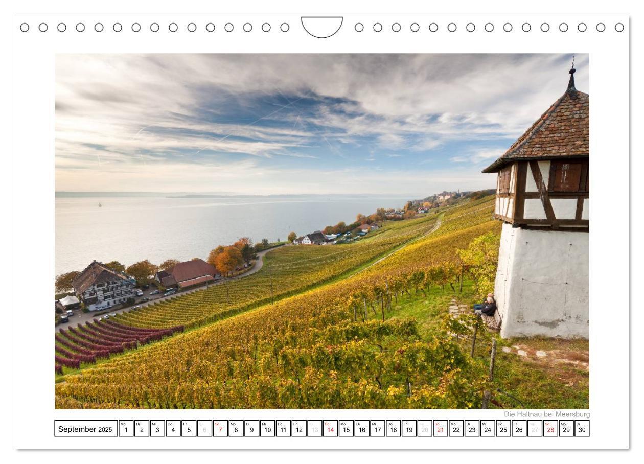 Bild: 9783435820153 | Bodensee 2025 (Wandkalender 2025 DIN A4 quer), CALVENDO Monatskalender