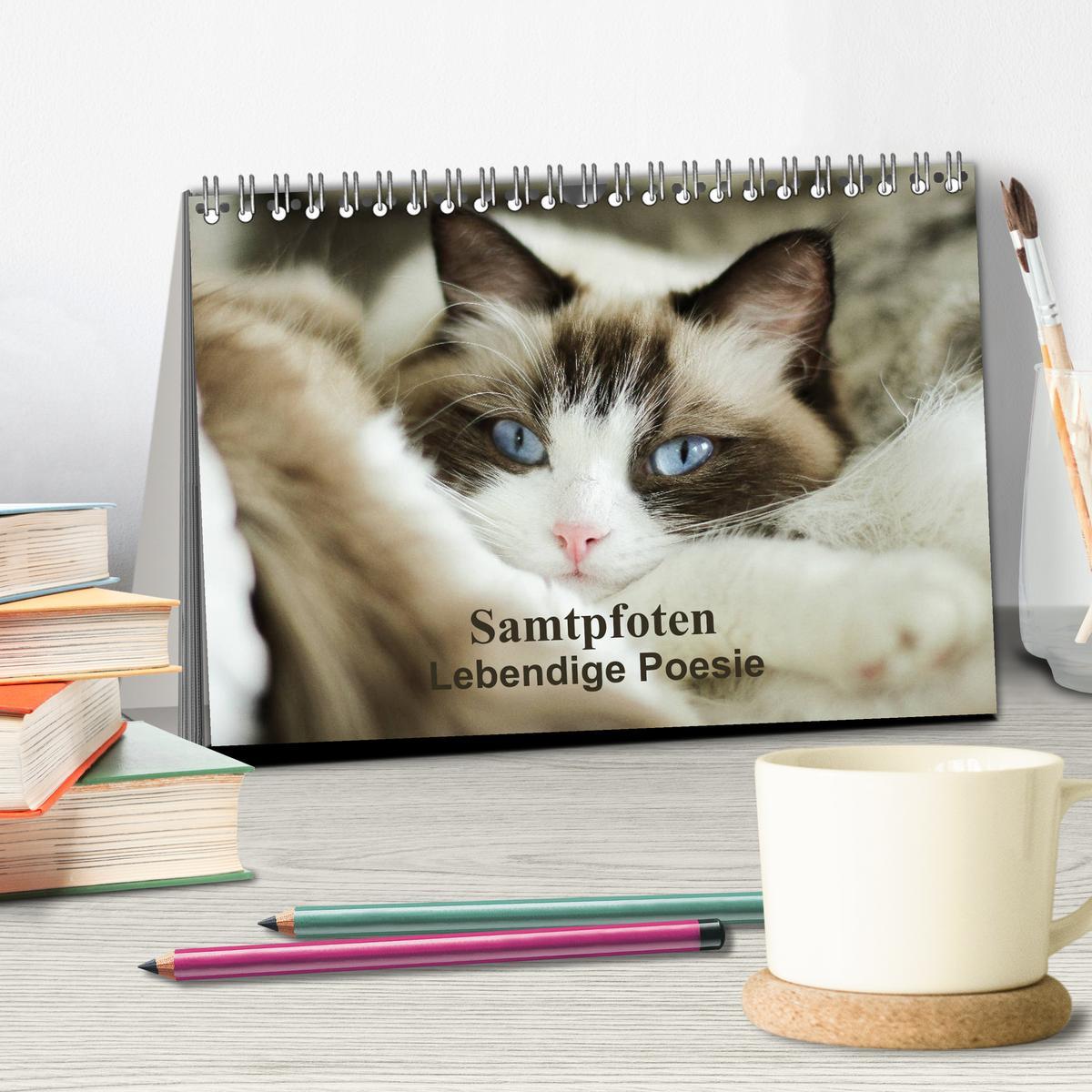 Bild: 9783435342914 | Samtpfoten Lebendige Poesie (Tischkalender 2025 DIN A5 quer),...