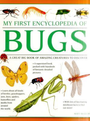 Cover: 9781861478238 | My First Encylopedia of Bugs: A First Encyclopedia with Supersize...