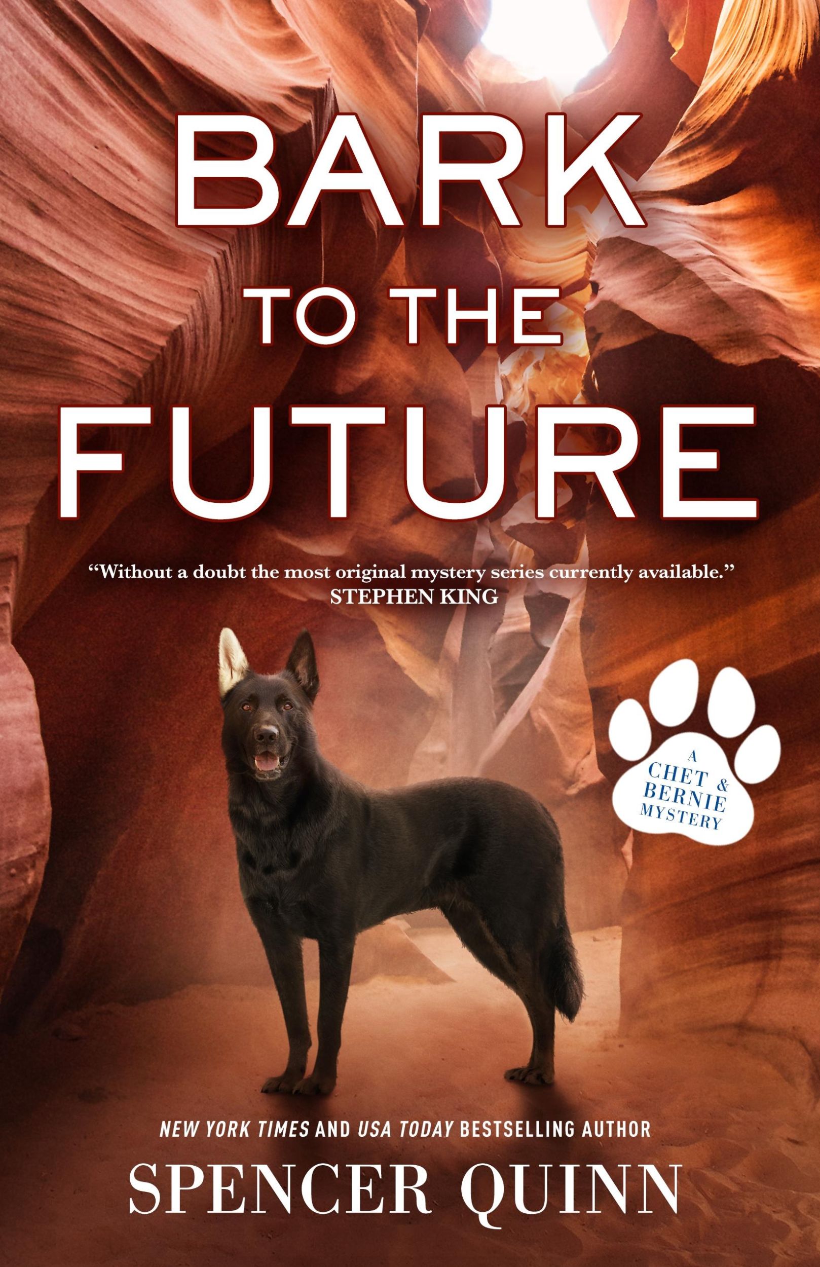 Cover: 9781250843296 | Bark to the Future | A Chet &amp; Bernie Mystery | Spencer Quinn | Buch