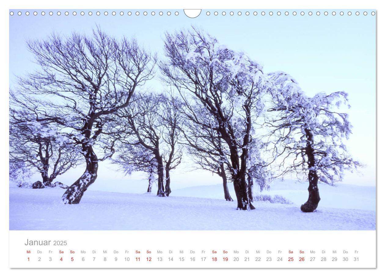 Bild: 9783435299195 | Der Schwarzwald Impressionen (Wandkalender 2025 DIN A3 quer),...