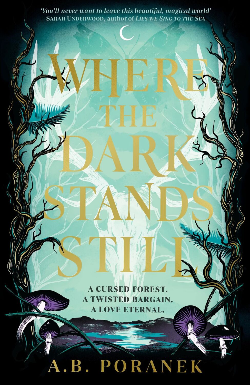 Cover: 9780241622155 | Where the Dark Stands Still | A.B. Poranek | Buch | Englisch | 2024