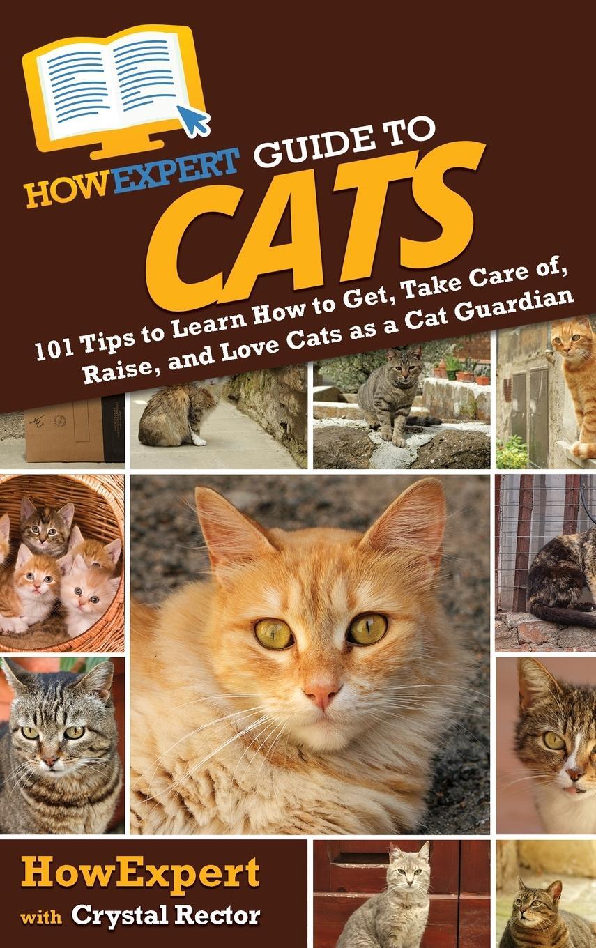 Cover: 9781648917417 | HowExpert Guide to Cats | Howexpert (u. a.) | Buch | Englisch | 2021