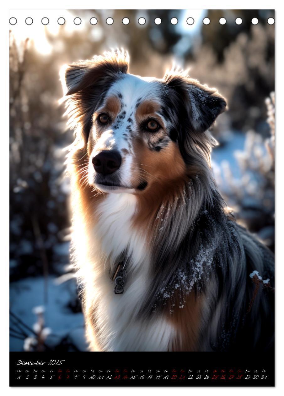 Bild: 9783435877249 | Australian Shepherd (Tischkalender 2025 DIN A5 hoch), CALVENDO...