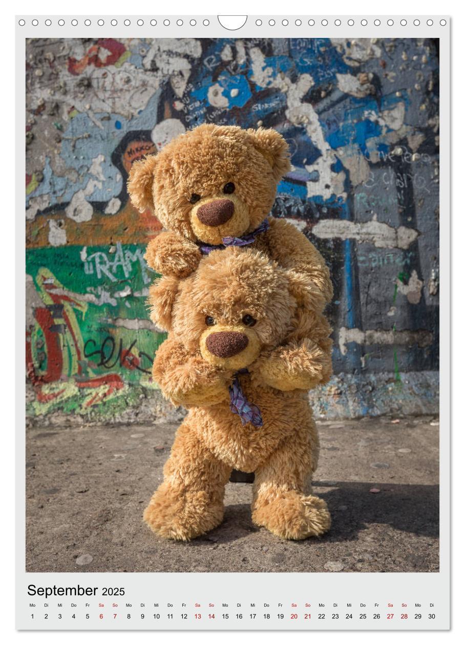 Bild: 9783435984961 | Travelling Teddy in Europa (Wandkalender 2025 DIN A3 hoch),...