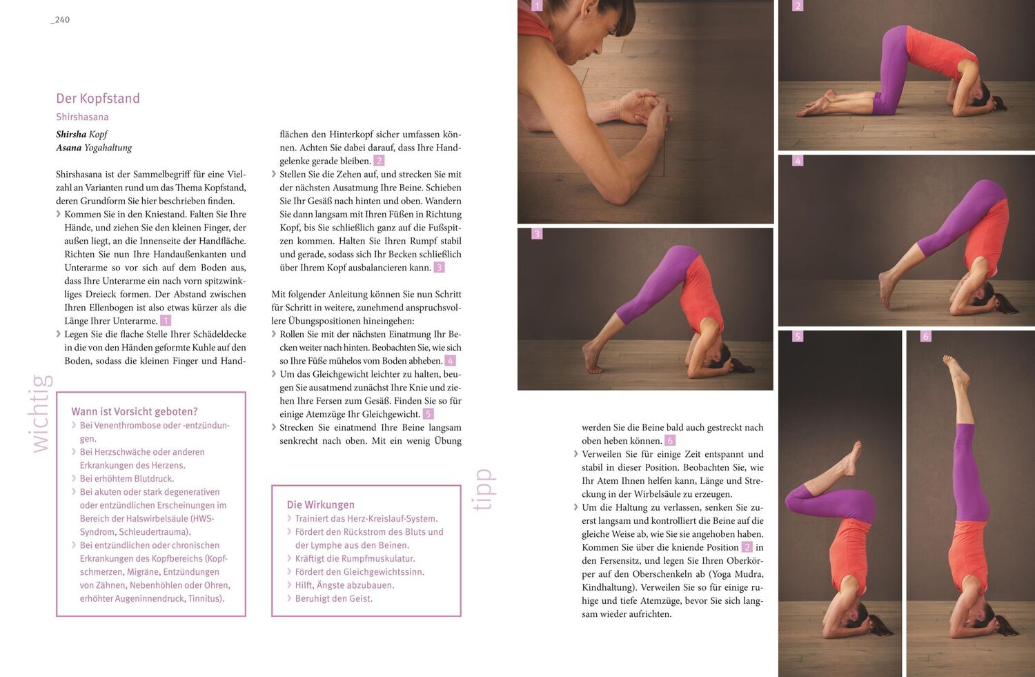 Bild: 9783833859168 | Yoga! Die besten Übungen | Anna Trökes | Taschenbuch | 255 S. | 2016