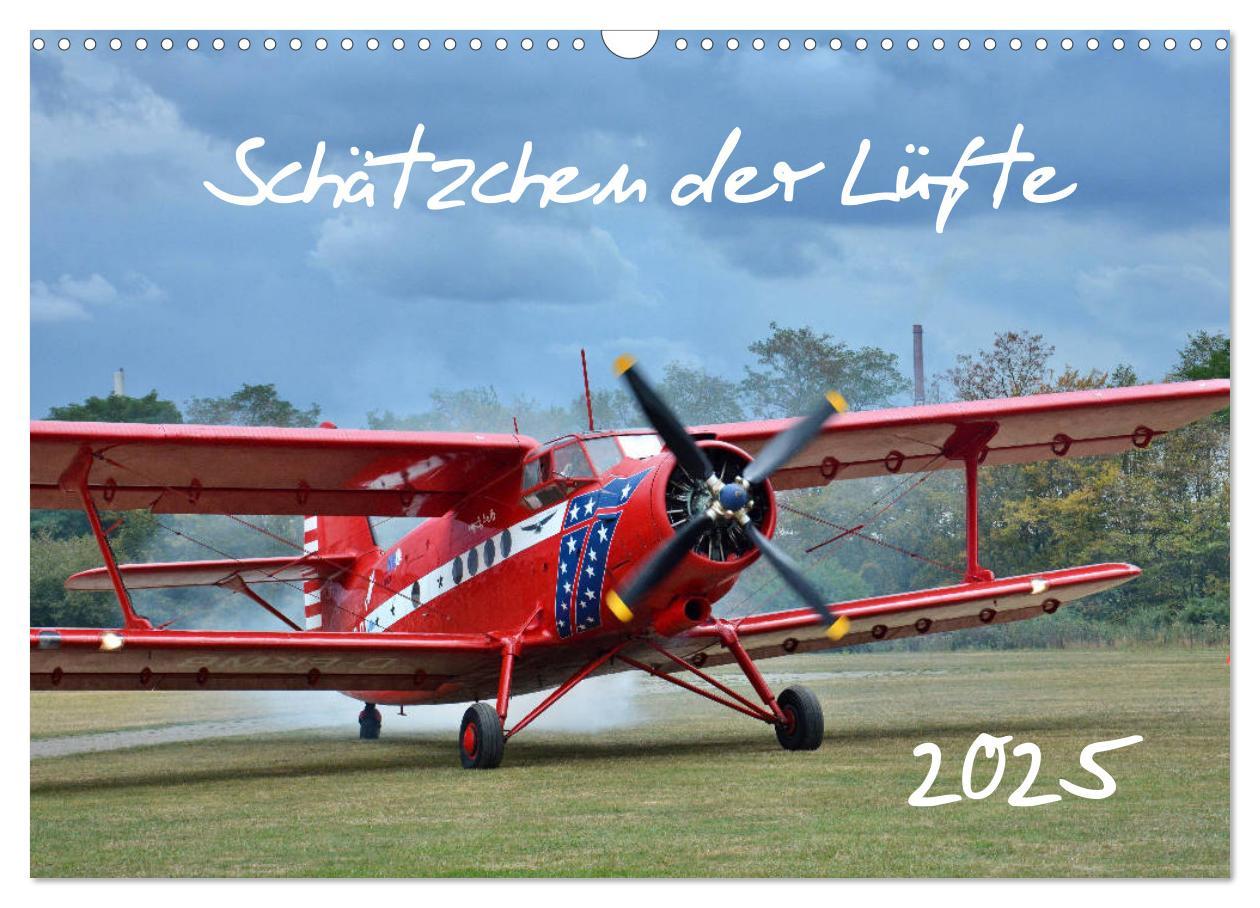 Cover: 9783435199839 | Schätzchen der Lüfte (Wandkalender 2025 DIN A3 quer), CALVENDO...