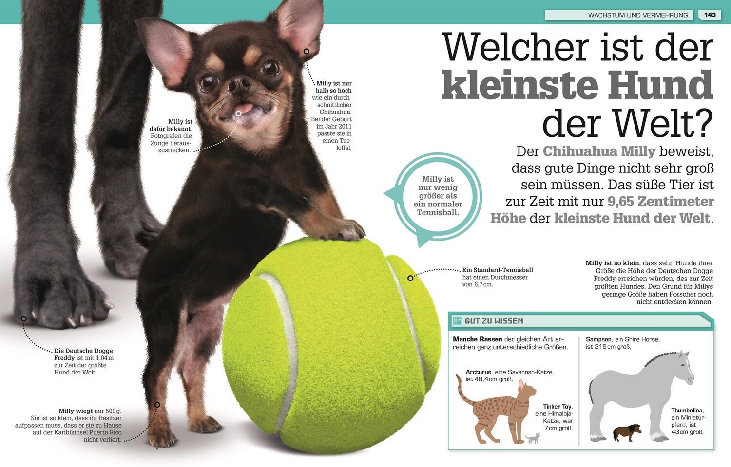 Bild: 9783831040599 | Total verrückte Tiere | Buch | 176 S. | Deutsch | 2020