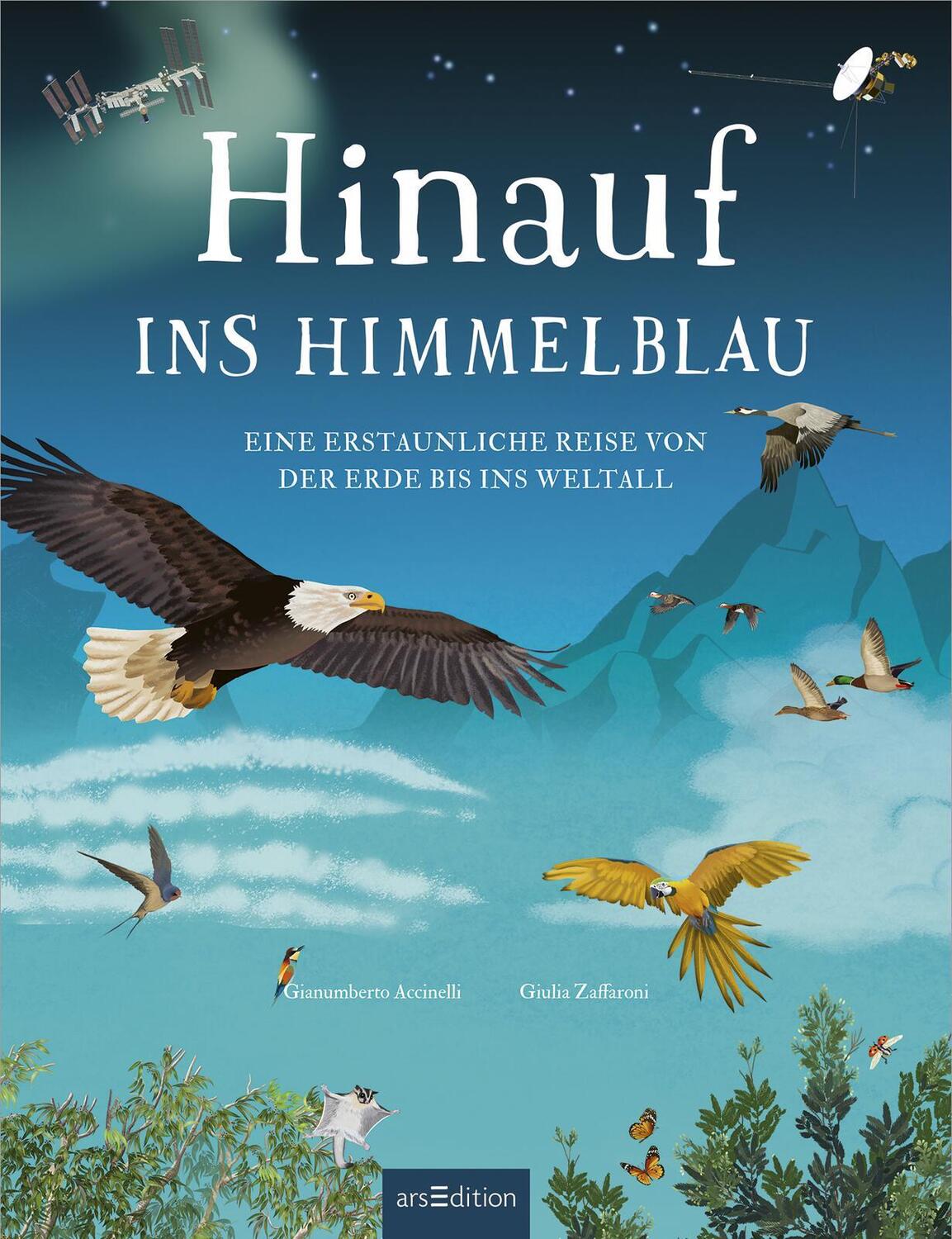 Bild: 9783845855424 | Hinauf ins Himmelblau | Gianumberto Accinelli | Buch | 96 S. | Deutsch