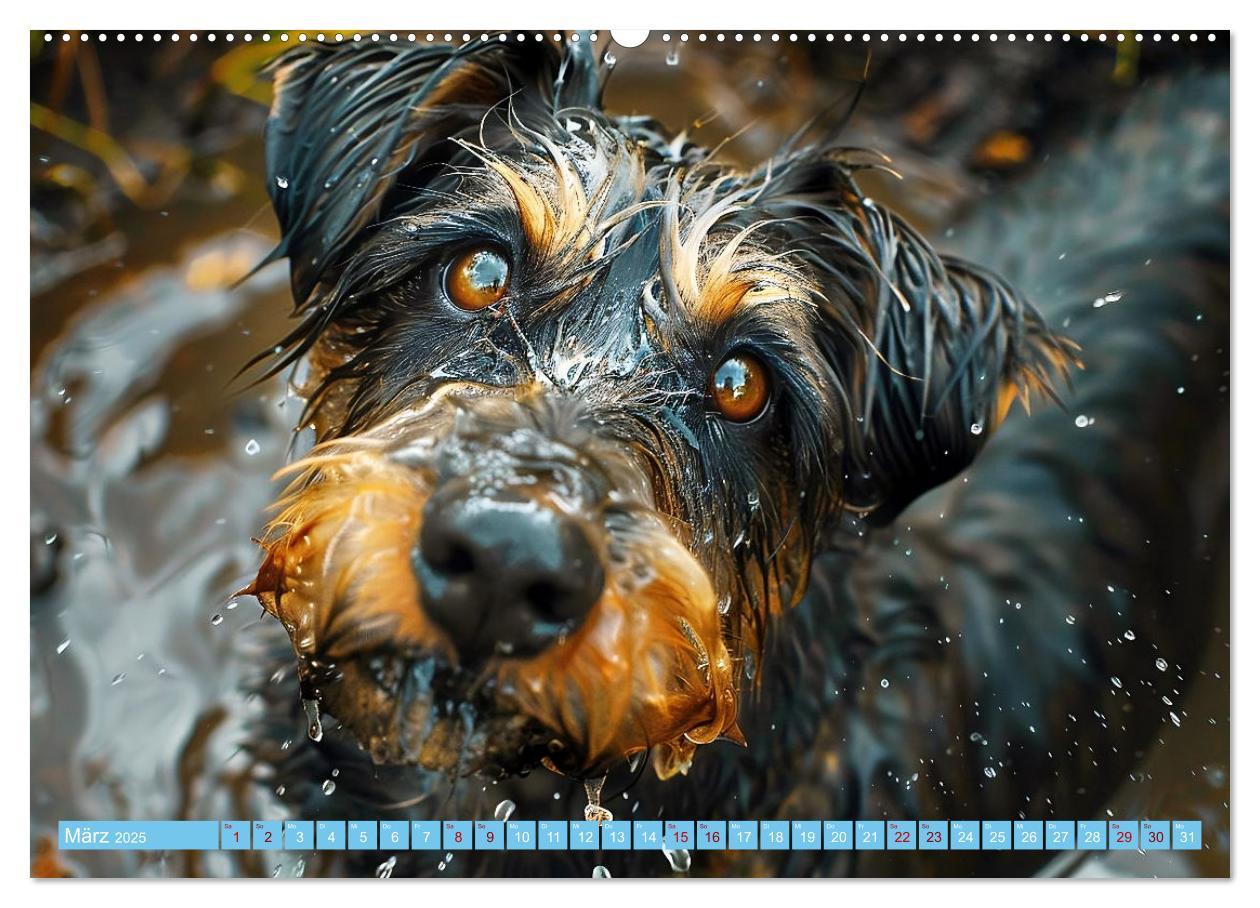 Bild: 9783457129241 | Hunde und Wasser (Wandkalender 2025 DIN A2 quer), CALVENDO...