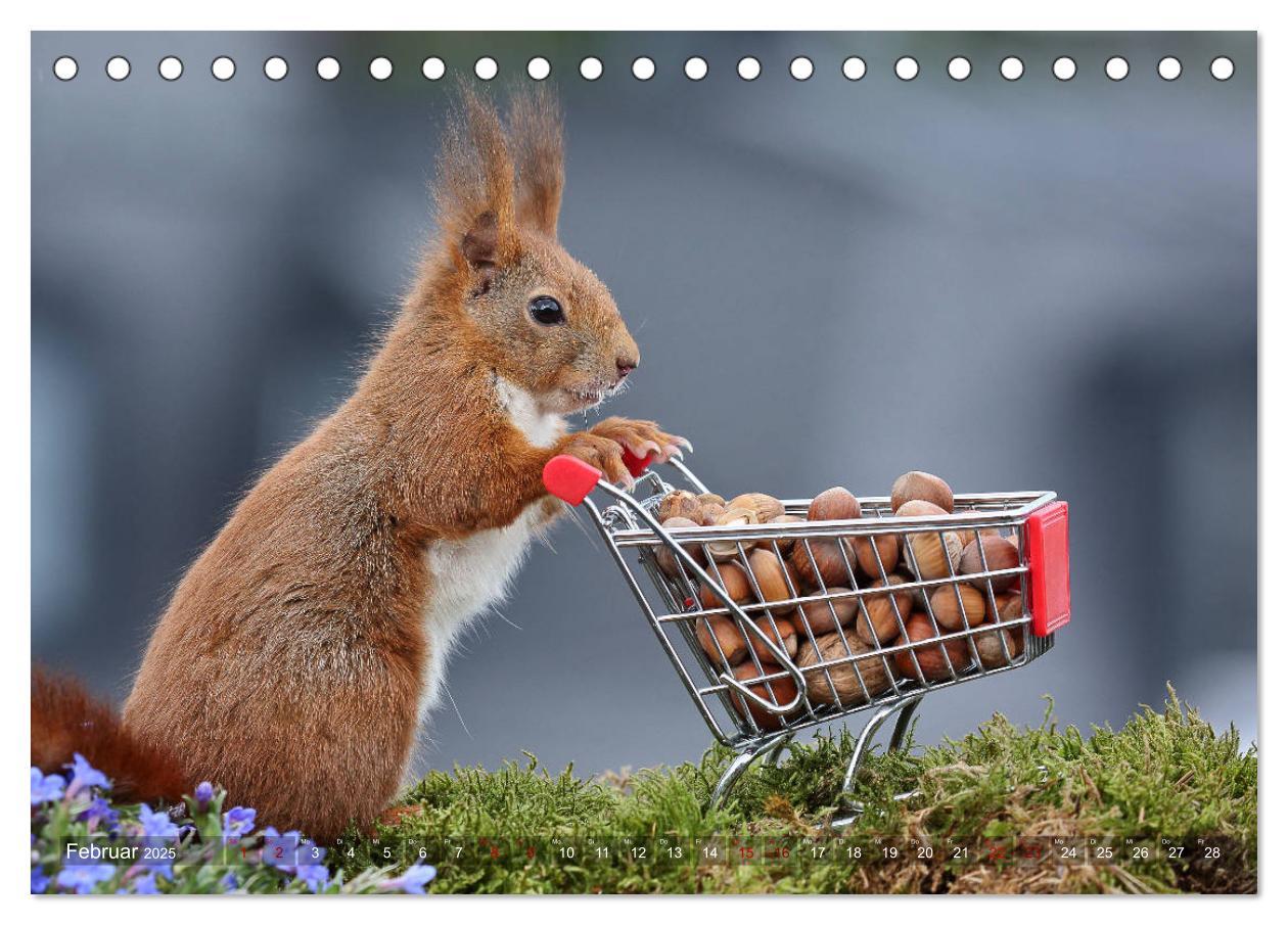 Bild: 9783435344178 | Eichhörnchen Luna und ihre Kinder (Tischkalender 2025 DIN A5 quer),...