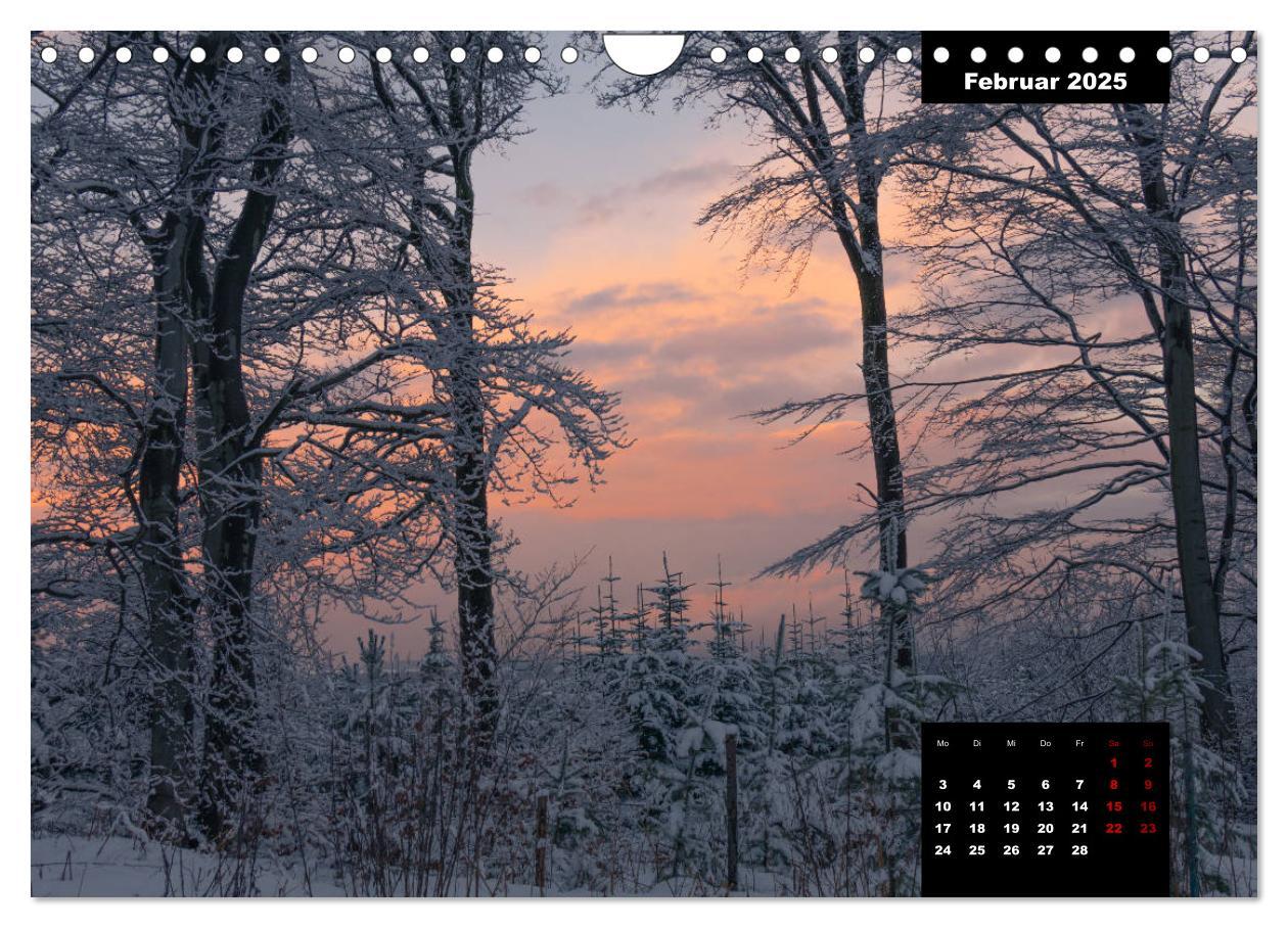 Bild: 9783435287499 | Malerisches Sauerland (Wandkalender 2025 DIN A4 quer), CALVENDO...