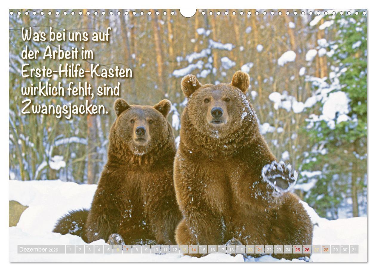 Bild: 9783383880773 | Spaß mit Bären: Edition lustige Tiere (Wandkalender 2025 DIN A3...