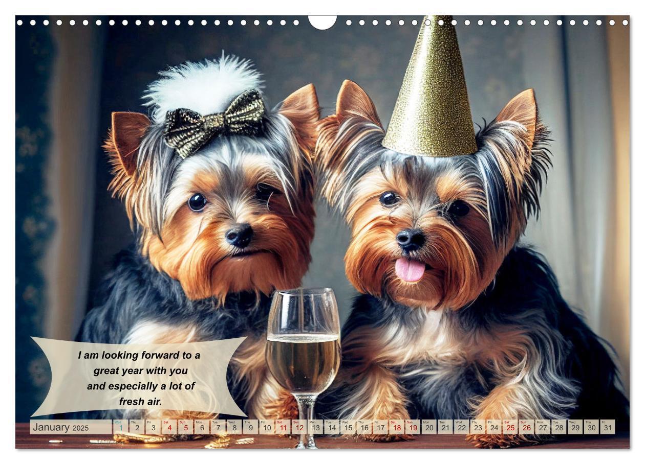 Bild: 9781325986026 | Great fun for Yorkshire Terrier lovers (Wall Calendar 2025 DIN A3...