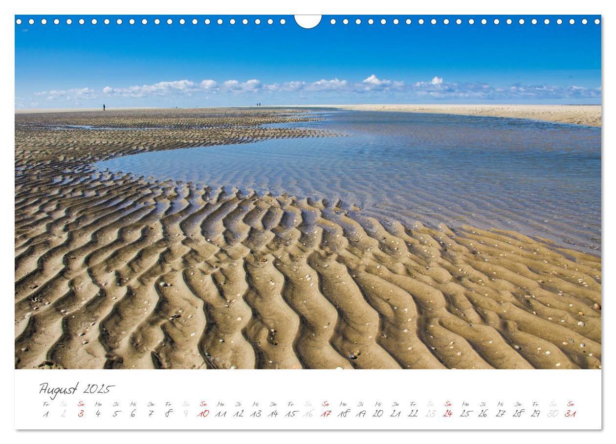 Bild: 9783435601318 | Amrum - Eine farbenfrohe Insellandschaft (Wandkalender 2025 DIN A3...