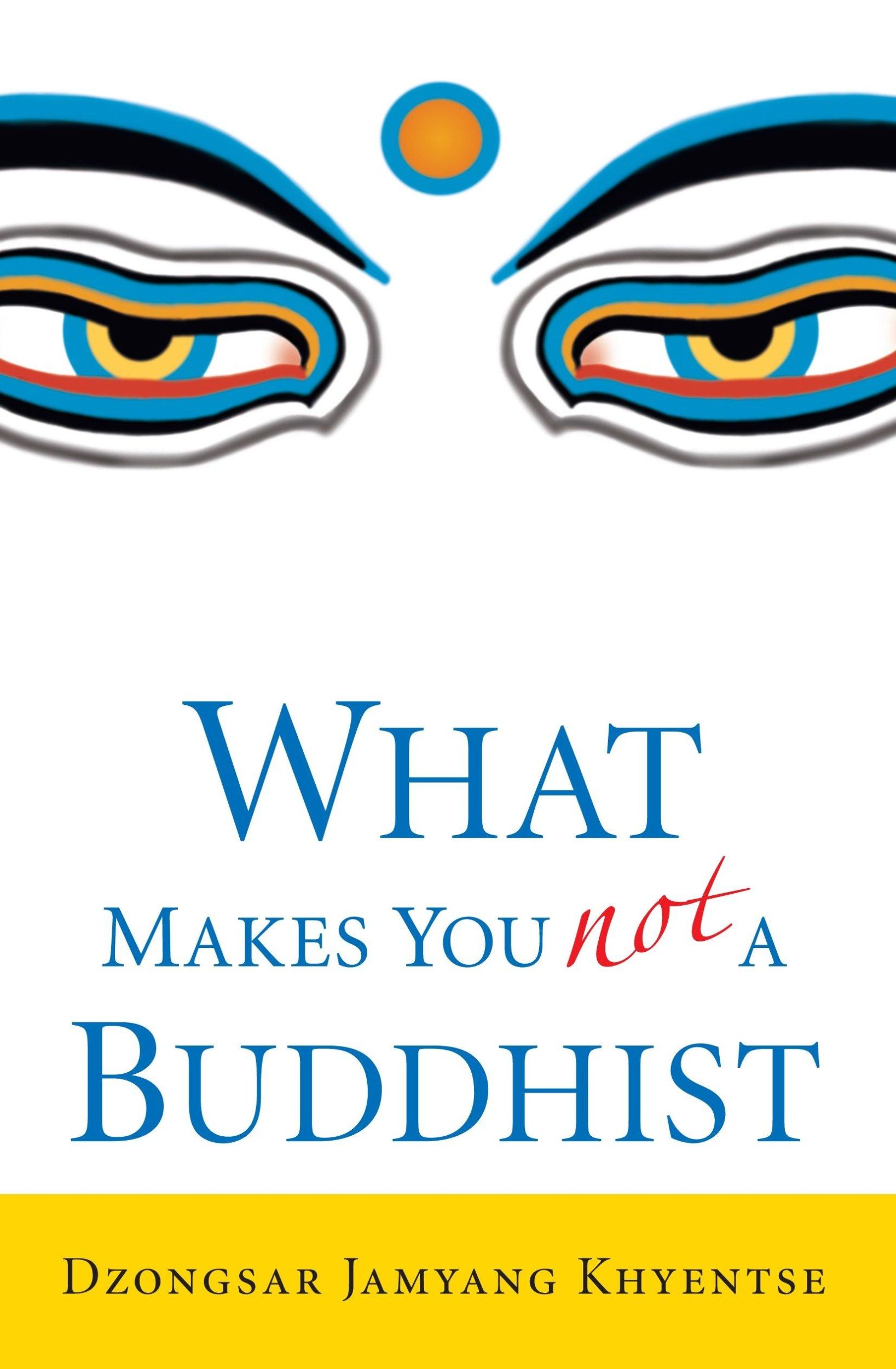 Cover: 9781590305706 | What Makes You Not a Buddhist | Dzongsar Jamyang Khyentse | Buch