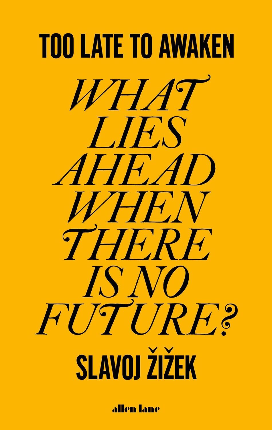 Cover: 9780241651759 | Too Late to Awaken | What Lies Ahead When There is No Future? | Zizek