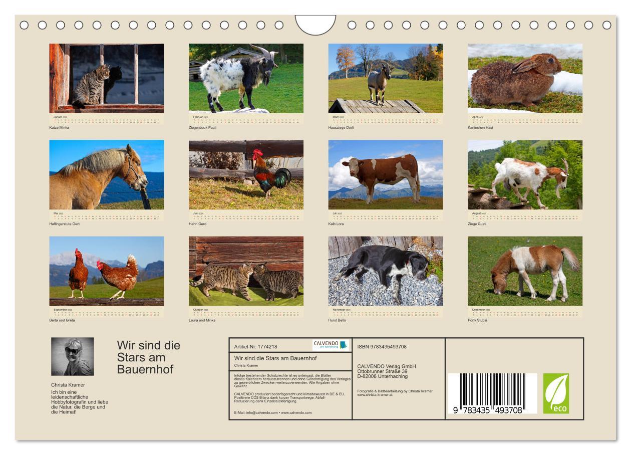 Bild: 9783435493708 | Wir sind die Stars am Bauernhof (Wandkalender 2025 DIN A4 quer),...