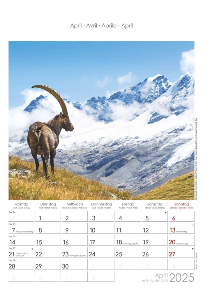 Bild: 4251732341091 | Alpen 2025 - Bild-Kalender 23,7x34 cm - The Alps - Wandkalender -...