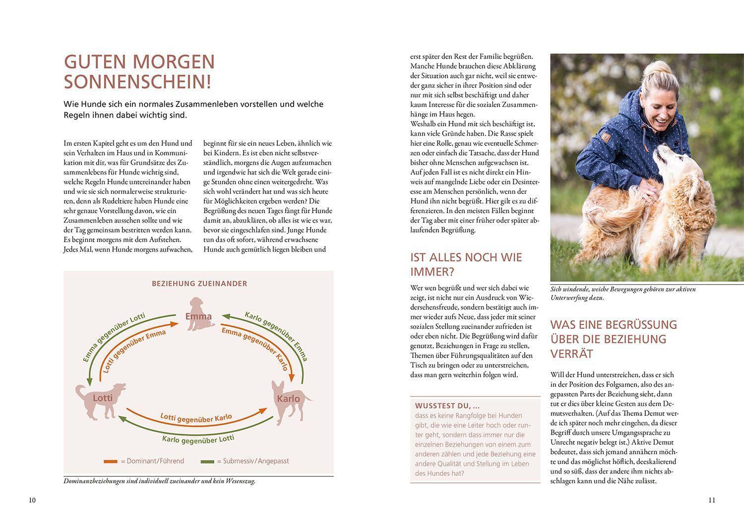 Bild: 9783440175583 | Hunde lesen lernen | Maren Grote | Taschenbuch | 200 S. | Deutsch