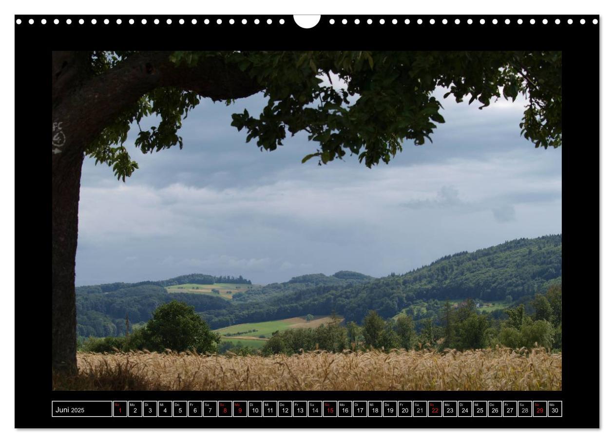 Bild: 9783435820092 | Odenwald - Landschaft sehen (Wandkalender 2025 DIN A3 quer),...