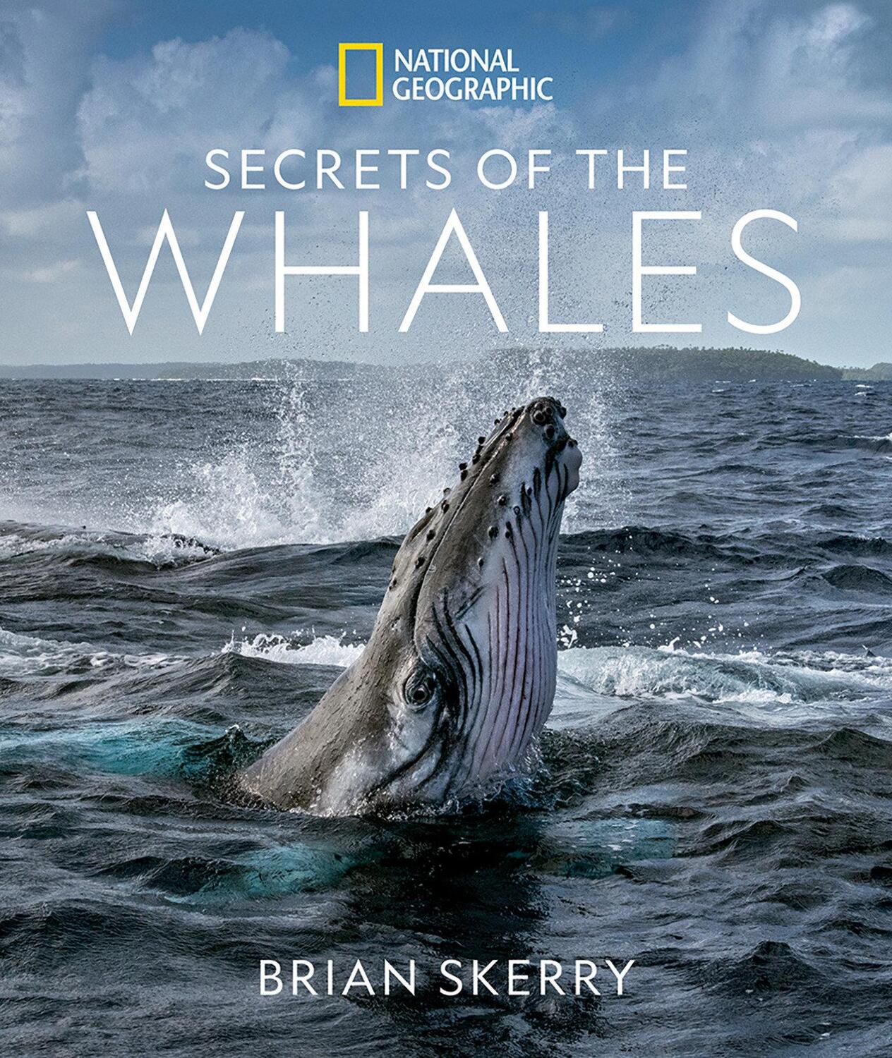 Cover: 9781426221873 | Secrets of the Whales | Brian Skerry | Buch | Gebunden | Englisch