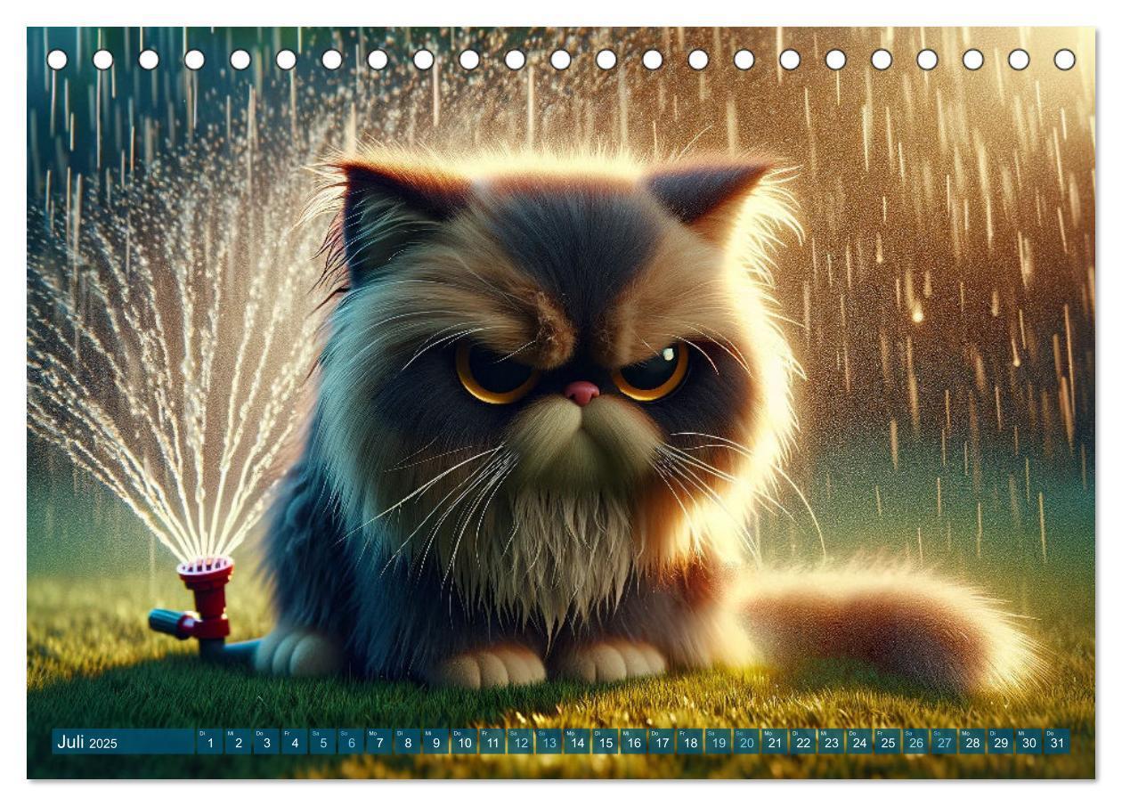 Bild: 9783383793288 | Katzenlaunen - Durch das Jahr mit Fluff und Grummeln (Tischkalender...