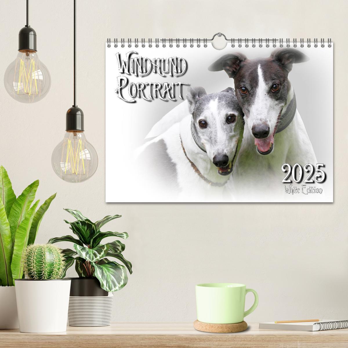 Bild: 9783383824333 | Windhund Portrait 2025 White Edition (Wandkalender 2025 DIN A4...