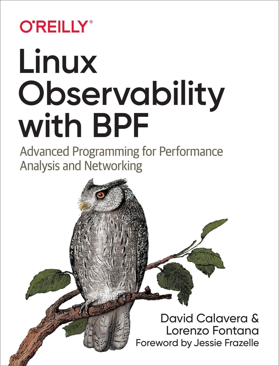 Cover: 9781492050209 | Linux Observability with Bpf | David Calavera (u. a.) | Taschenbuch