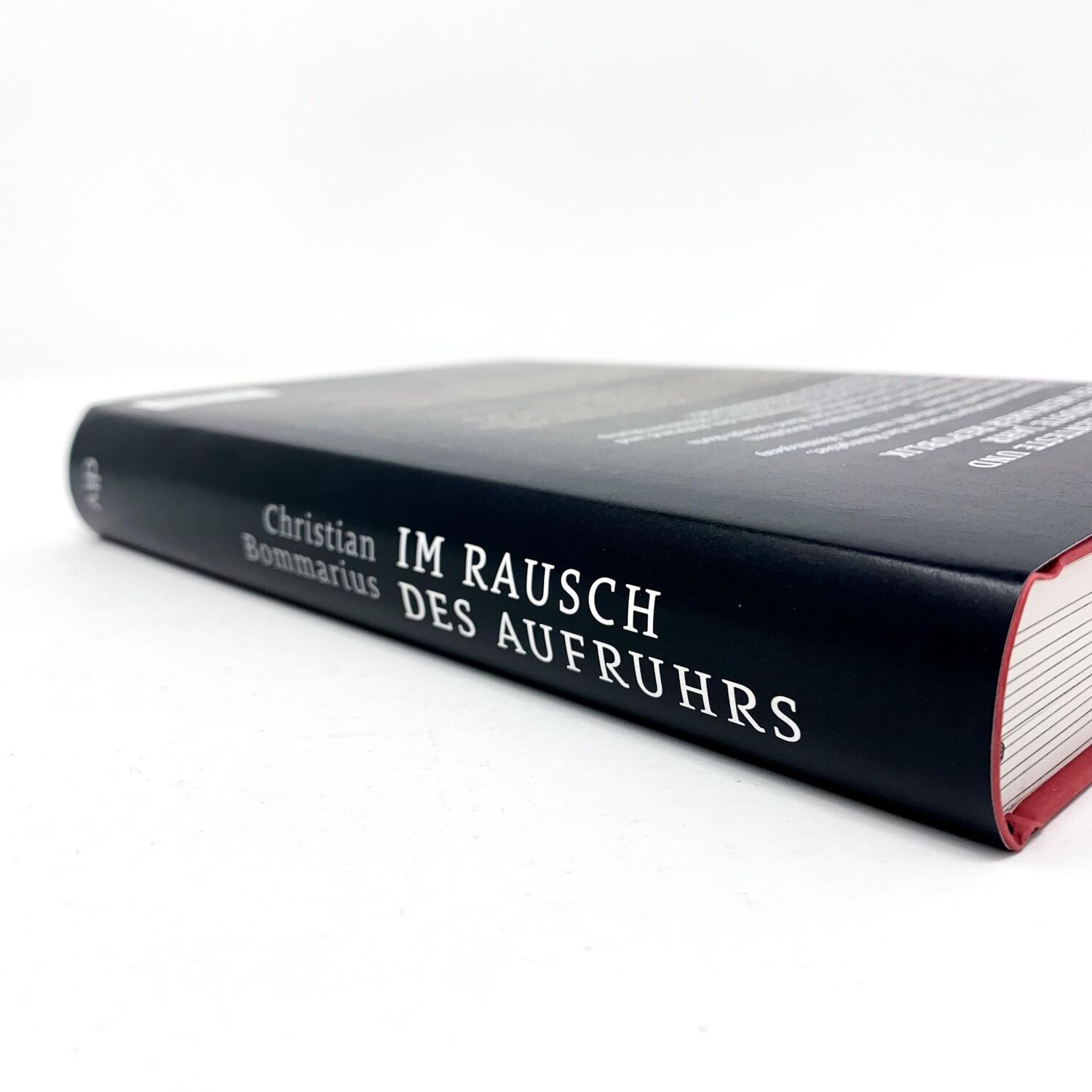 Bild: 9783423290043 | Im Rausch des Aufruhrs | Christian Bommarius | Buch | 352 S. | Deutsch