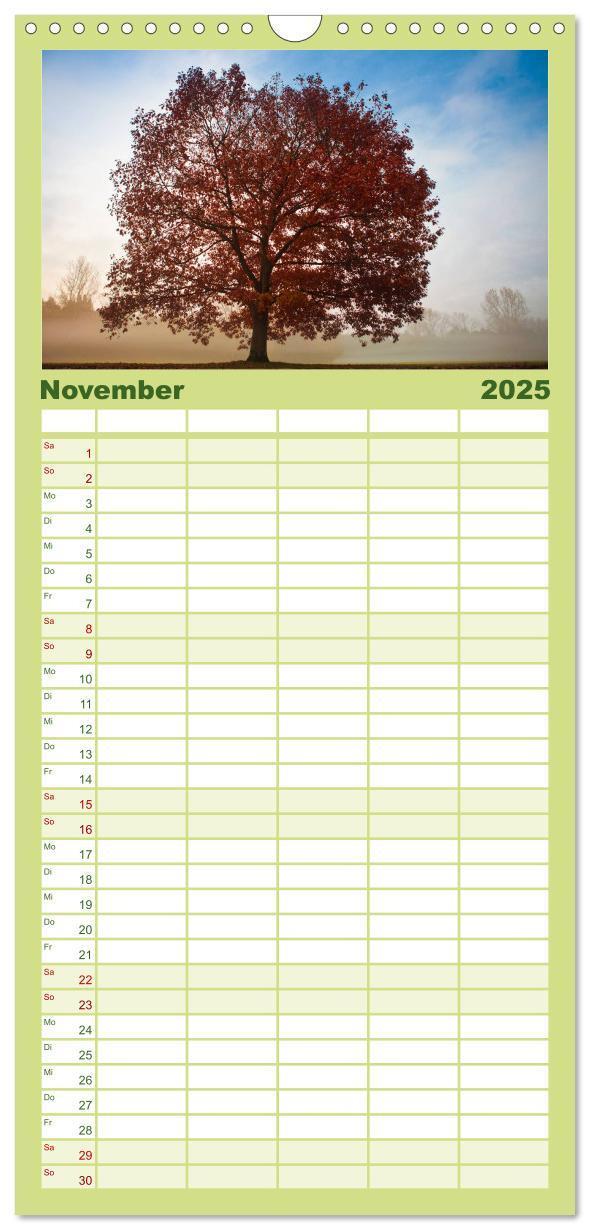 Bild: 9783457120286 | Familienplaner 2025 - Farben der Natur mit 5 Spalten (Wandkalender,...