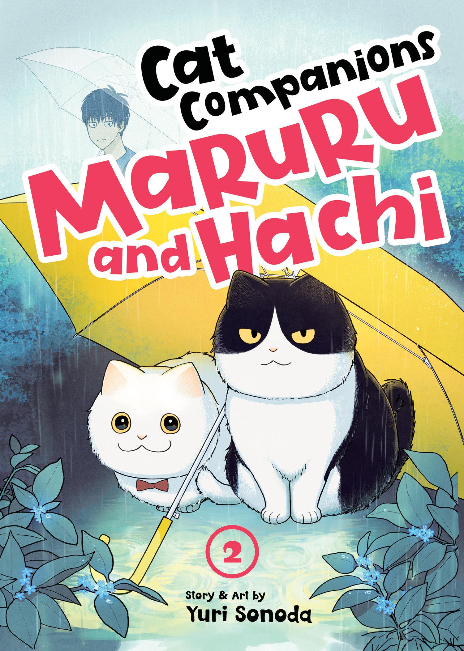 Cover: 9798891602199 | Cat Companions Maruru and Hachi Vol. 2 | Yuri Sonoda | Taschenbuch