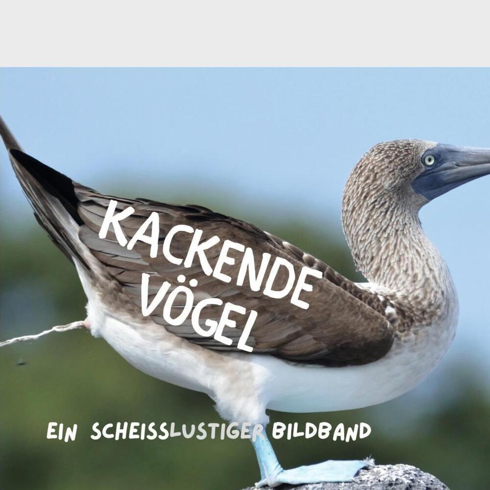 Cover: 9783750504783 | Kackende Vögel | Ein scheißlustiger Bildband | Bibi Hübsch | Buch