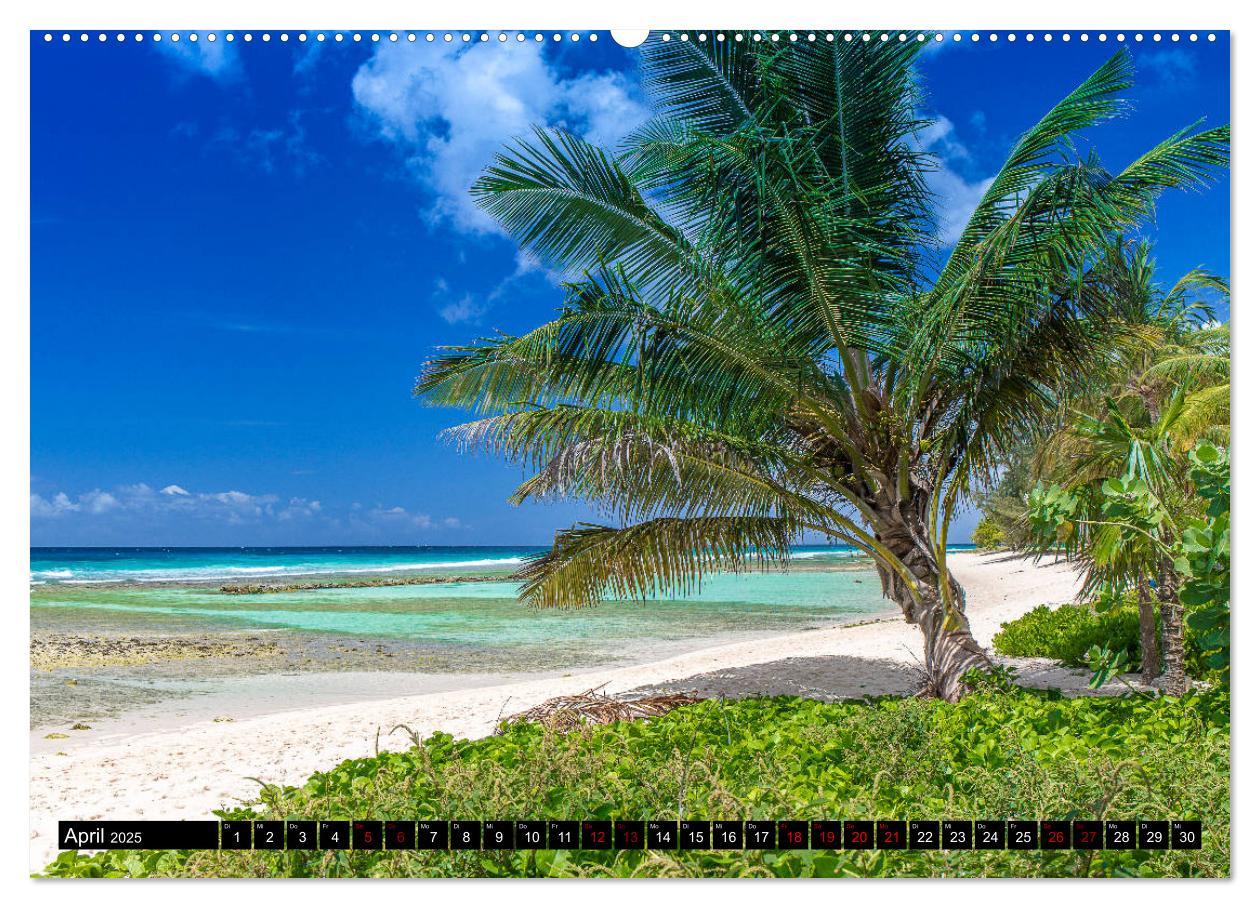 Bild: 9783435453788 | Barbados (Wandkalender 2025 DIN A2 quer), CALVENDO Monatskalender