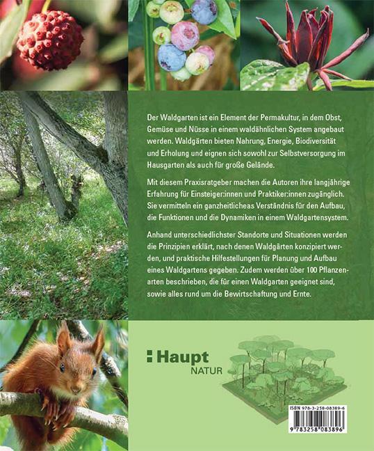 Rückseite: 9783258083896 | Praxisbuch Waldgarten | Natürlicher Anbau mit Permakultur | Buch