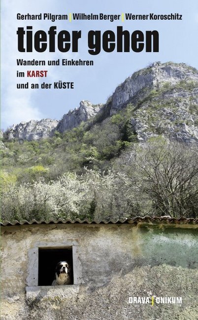 Cover: 9783854357094 | Tiefer gehen | Wandern und Einkehren im Karst und an der Küste | Buch