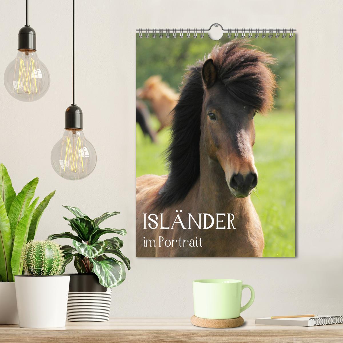 Bild: 9783435974733 | Isländer im Portrait (Wandkalender 2025 DIN A4 hoch), CALVENDO...